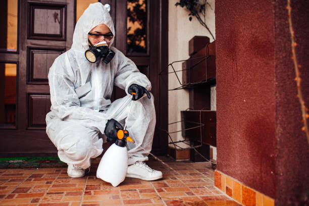 Reliable Bed Bug Control contractor in Largo, MD by Nex Pest Control