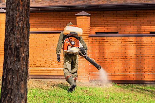 Top rated local Bed Bug Control specialists in Largo, MD